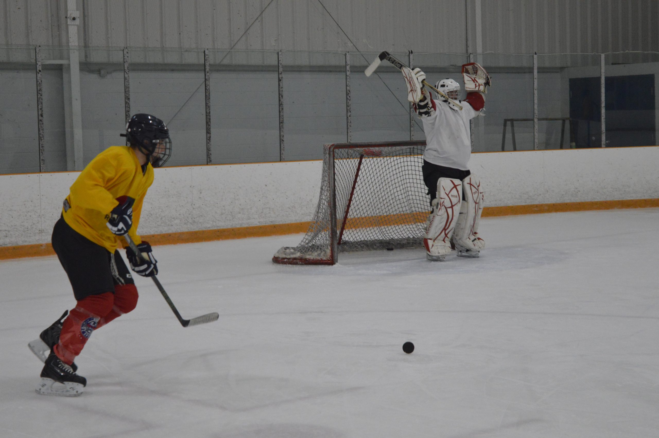 hockey rink with one player and one goalie